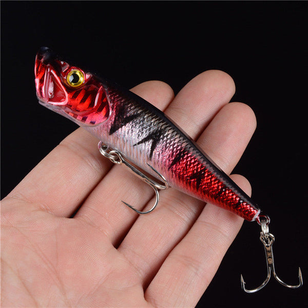 Big Popper Fishing Lures 3d Eyes Japan